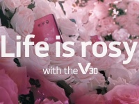   LG V30   (Raspberry Rose)    LG