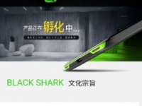 Xiaomi     Black Shark