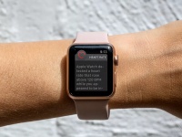 Apple           Apple Watch