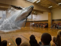 ,         2022   2,3  