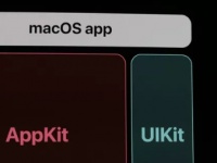            iOS  macOS Mojave