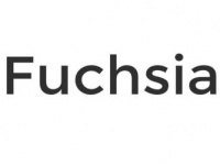 Google   Android  Chrome OS