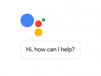Google Assistant -    