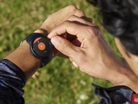 Google    Google Coach,    ,   