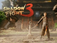 Shadow Fight 3 -    