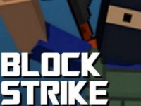 Block Strike -     