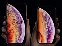 Apple  iPhone XS (5,8 )  iPhone XS Max (6,5 )   7 