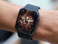     Apple Watch Series 4  Fitbit   ,   Garmin 