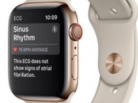    Apple Watch Series 4