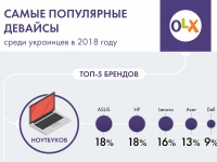    OLX: ,     2018