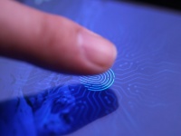 Samsung  Galaxy P30     LCD-