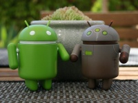 Google  ,     Android   2 