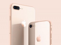 Apple    iPhone 8  8 Plus