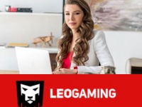 SMARTlife: LeoGaming        ,     2010 