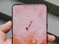 Samsung Galaxy S10  6,1    FOD