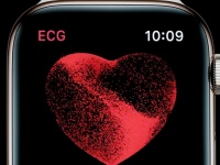 Apple -        Watch Series 4