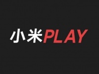       Xiaomi Play    
