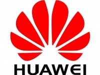  Huawei     100       