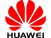  Huawei     100       