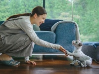  Sony aibo   