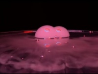 Apple  32  iPhone XR     