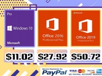       LVLGO:  Windows 10 Professional  FIFA 19 Ultimate Team