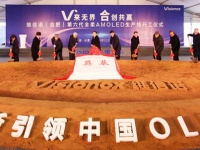    AMOLED    Xiaomi   Visionox