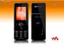       Sony EricssonW680i