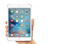 Apple iPad mini        