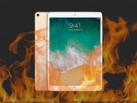  Apple iPad    