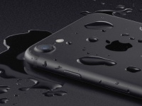 Apple   iPhone 7  ,           