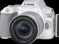    . Canon     EOS 250D