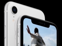 Which?:  Apple      iPhone