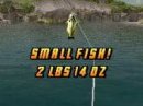 Player One    Bass Fishing Mania