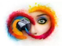 Adobe      Photoshop