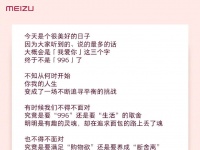 Meizu      : Meizu 16T (16Xs)?