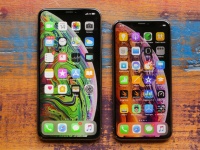  iPhone XI Max    OLED  LG
