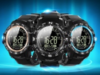   - ioutdoor Pioneer P10:     FSTN    