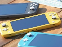  Nintendo Switch Lite       