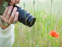 SMARTlife:    -   ?!