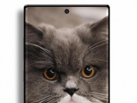   Samsung Galaxy Note10   256  