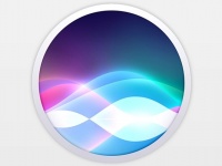  Apple    ,    Siri