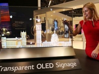    LG Display     OLED