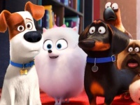 SMARTlife:   -     2