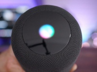    Apple Siri    Microsoft    