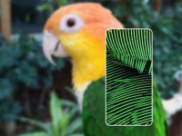  Redmi Note 8  Note 8 Pro   25- 