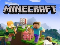  :     Minecraft PE (Pocket Edition)