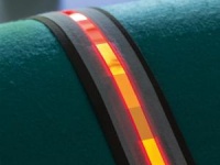  Fraunhofer FEP     OLED