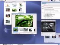  FreeBSD    Windows-