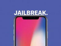 Apple   :    iPhone  iPad